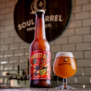 Harvest Ale amber ale bottle and beer glass at Soul Barrel Brewery